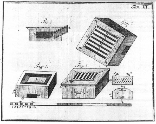 christ.jpg (72956 bytes)