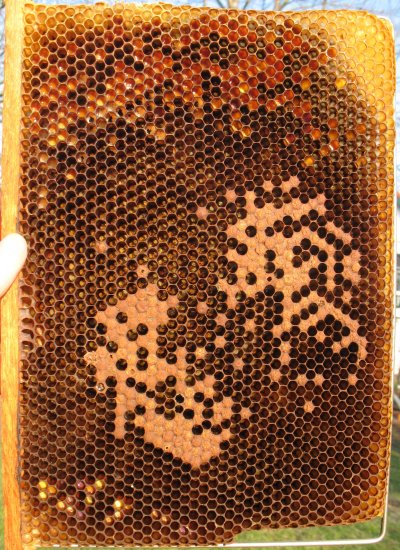 delon_frame_bird1.jpg (103029 bytes)