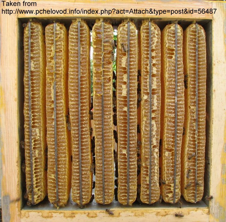 delon_framed_comb_pchelovod_info.jpg (185663 bytes)