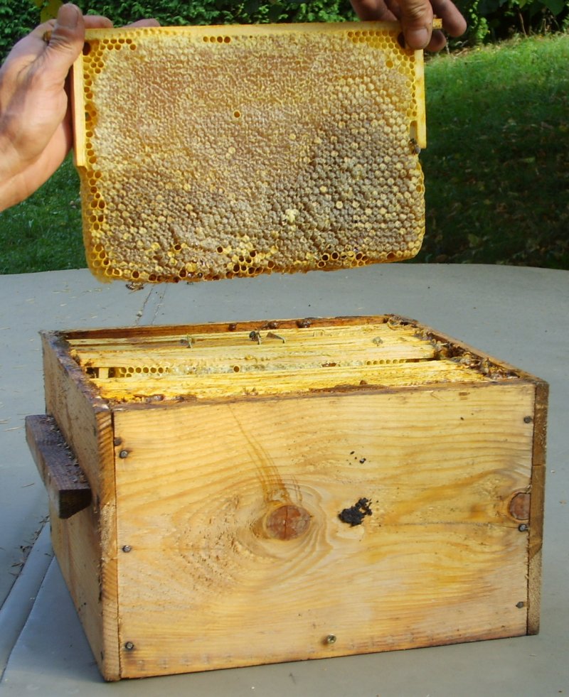 denis_half_frame.jpg (170180 bytes)