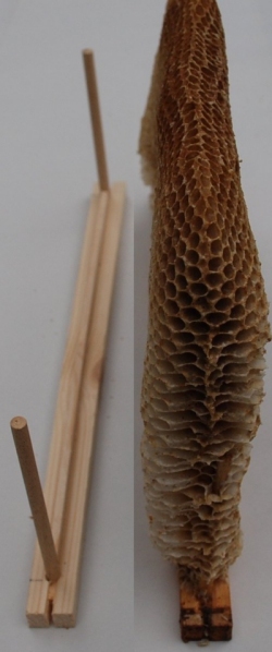 dowel_semi-frame.jpg (75647 bytes)