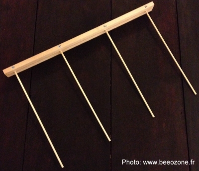 frames_beeozone.jpg (83607 bytes)