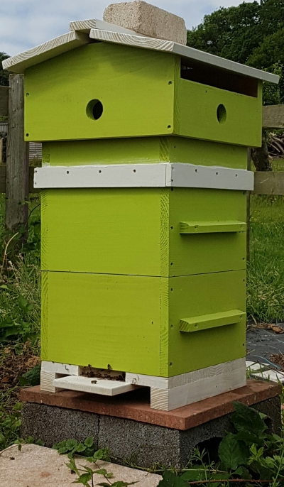 guillaume_ray_hive_front.jpg (192744 bytes)