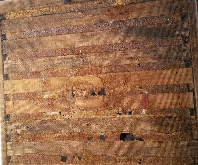 guillaume_ray_mesh_propilised.jpg (130728 bytes)