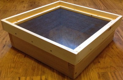 guillaume_ray_quilt_complete_underside.jpg (75996 bytes)