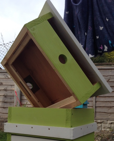 guillaume_ray_roof_underside.jpg (115603 bytes)