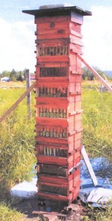 guillaume_seguin_big_hive.jpg (27715 bytes)