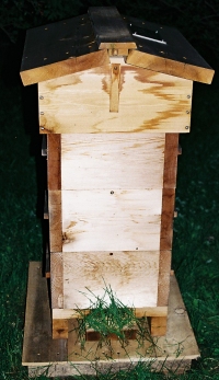 moving_pilon13.jpg (57577 bytes)