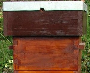 roof_photo.jpg (19096 bytes)